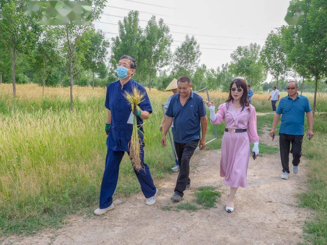 【人文纪实】津门网王忠谋：“麦痴”张国英