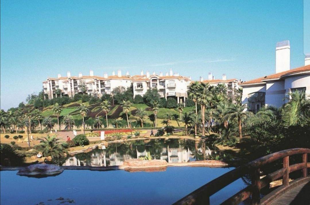 《姐姐》宿舍背景曝光<strong></p>
<p>麦币网</strong>，是当地奢华酒店，最贵房间8888网民币一晚