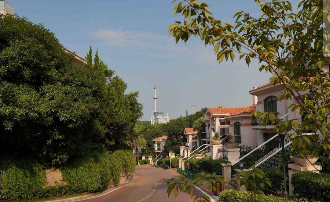 《姐姐》宿舍背景曝光<strong></p>
<p>麦币网</strong>，是当地奢华酒店，最贵房间8888网民币一晚