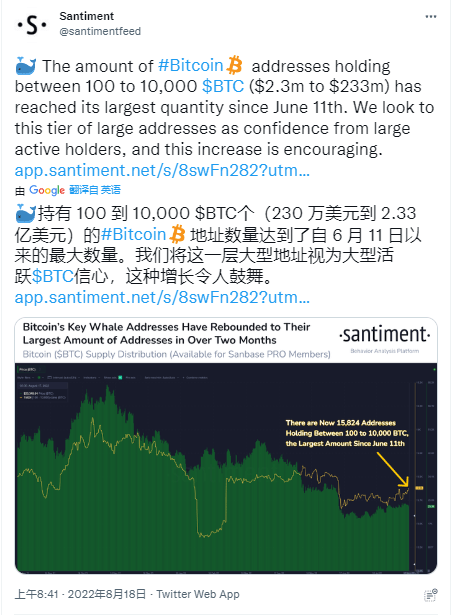 随着鲸鱼增持比特币价格上涨<strong></p>
<p>kin币价格</strong>，比特币价格会达到25000美元吗？