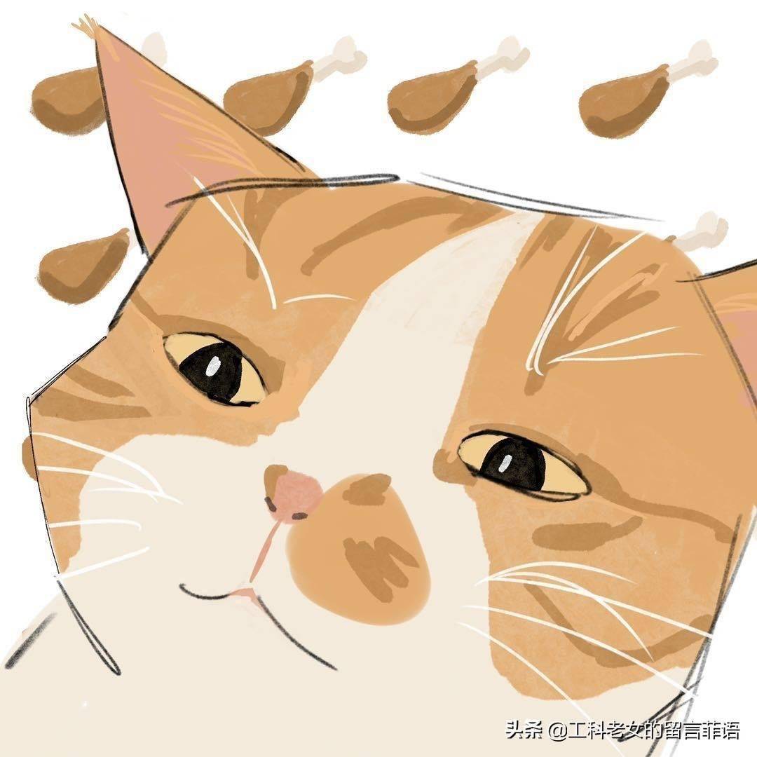 猫：照猫画猫<strong></p>
<p>猫币</strong>，看看画得像吗？