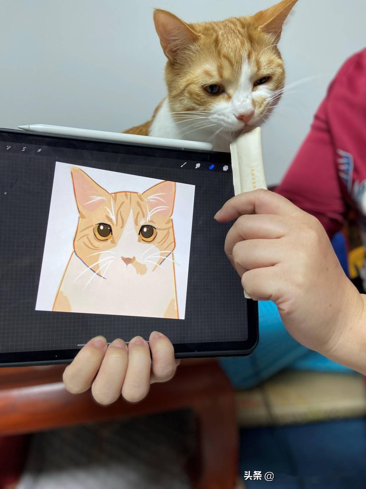 猫：照猫画猫<strong></p>
<p>猫币</strong>，看看画得像吗？