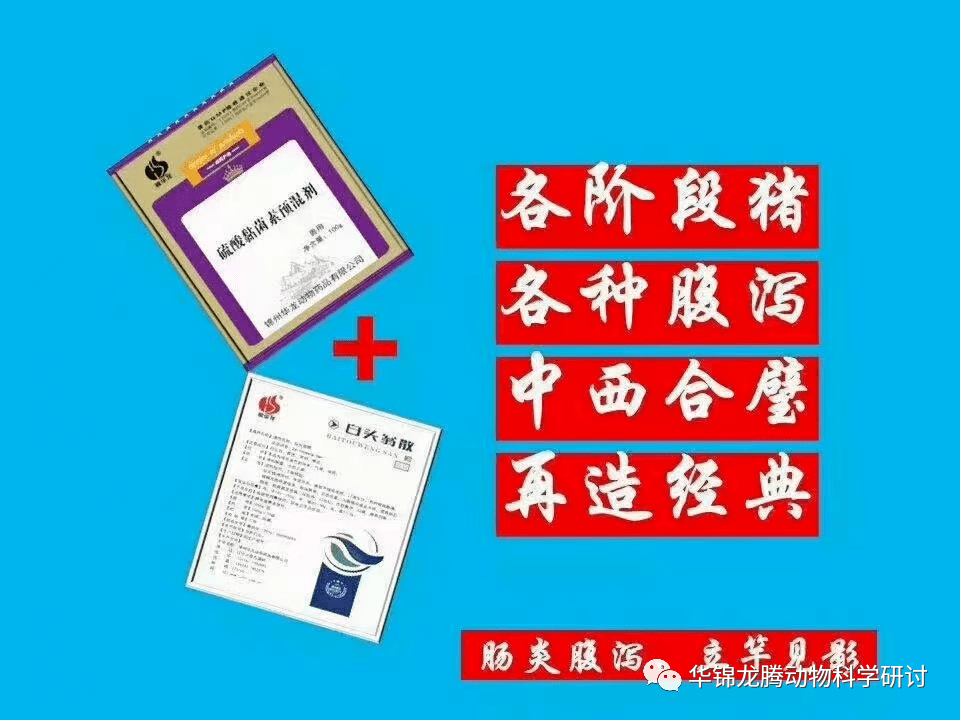 各种腹泻的鉴别要点