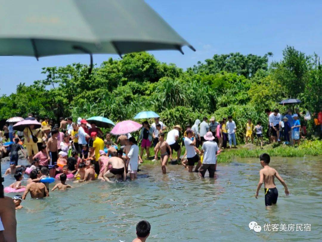 助力乡村旅游|优客美房民宿与海口潭丰洋湿地农庄签署营地运营合作