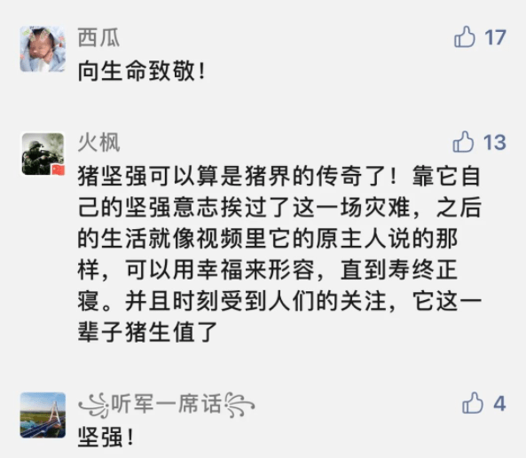 “猪坚强”是一个什么符号<strong></p>
<p>法币符号</strong>？