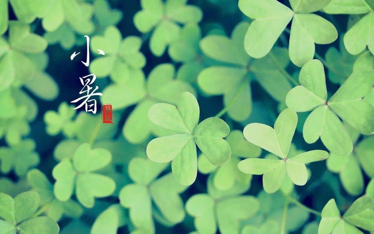发行有变<strong></p>
<p>法币符号</strong>，热门新币或月末预约，书法币多人被坑