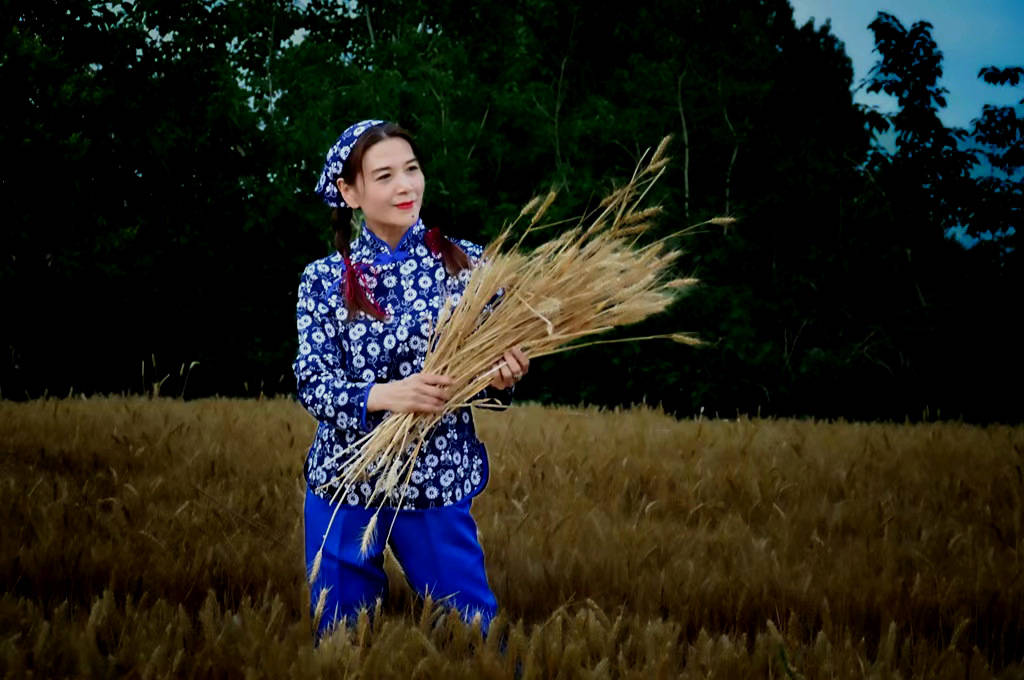 金色的麦浪<strong></p>
<p>金色幸运币</strong>，金色的歌声，金色的果实，金色的梦
