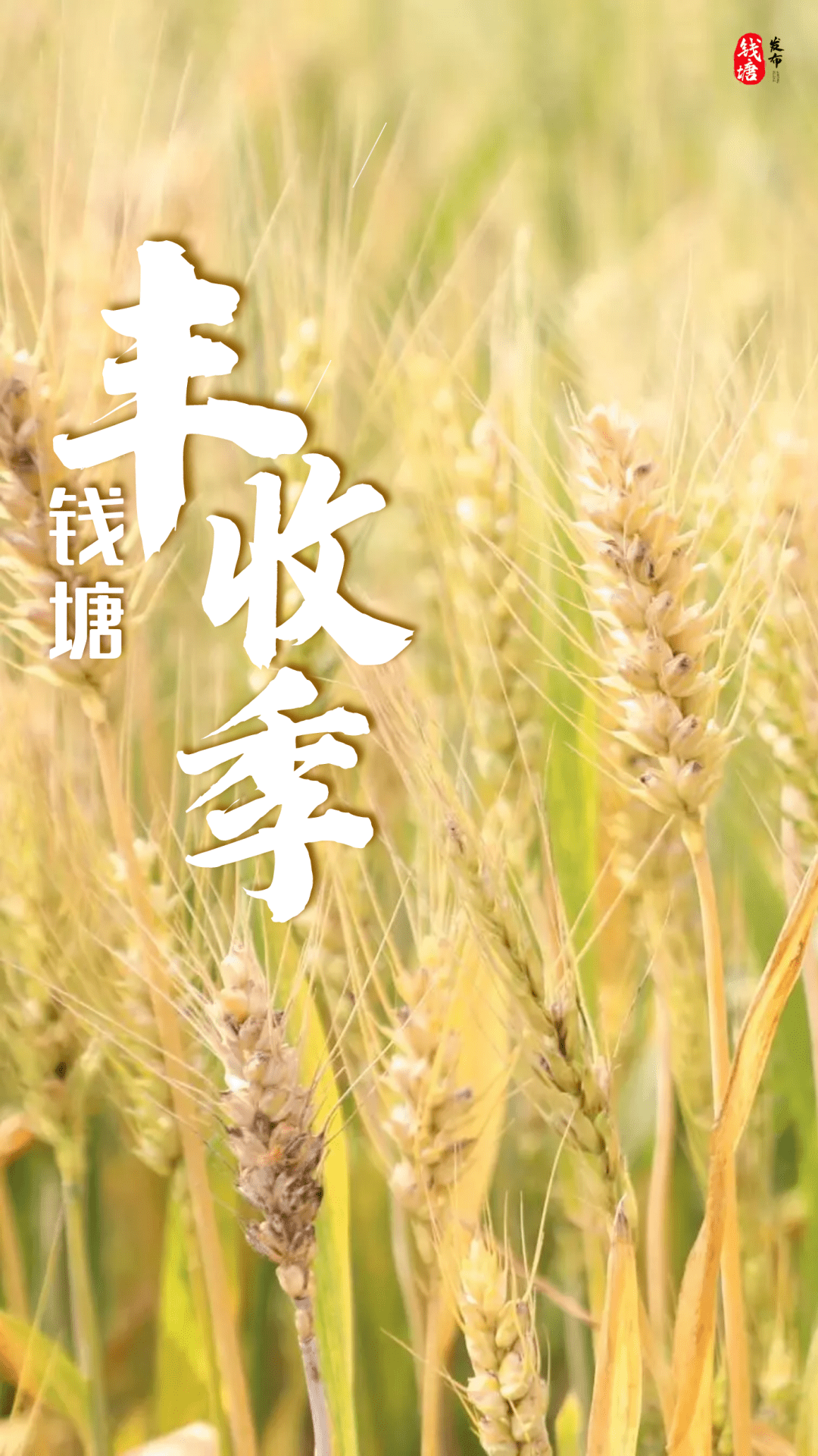 金色<strong></p>
<p>金色幸运币</strong>，钱塘！