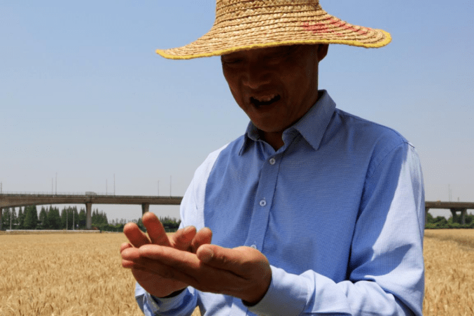 金色<strong></p>
<p>金色幸运币</strong>，钱塘！