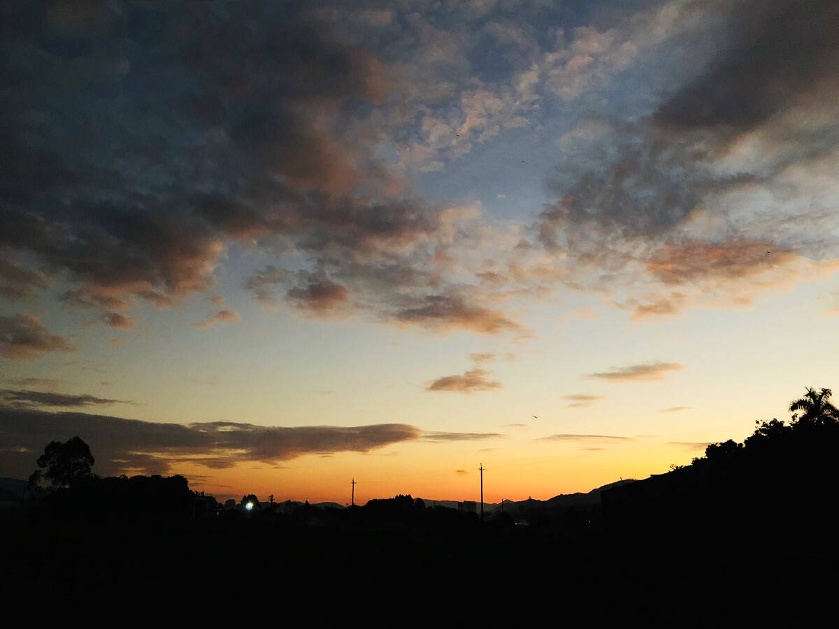 金色的夏日黄昏