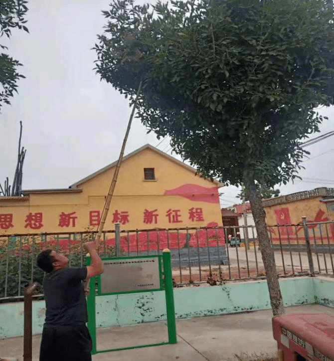 全面行动起来 剪除美国白蛾网幕倡议书