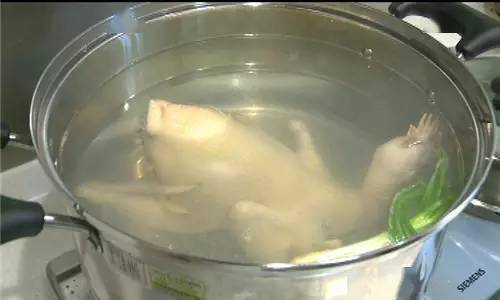 白切鸡的五星大厨秘制法<strong></p>
<p>白币网</strong>！选材到蘸料一网打尽！