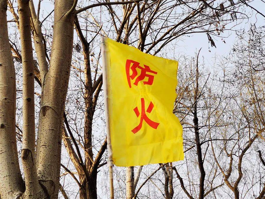 大风天气较多、火险等级较高｜4月哈市这样防范应对自然灾害风险