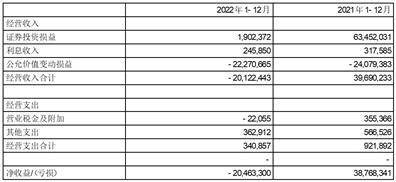 新华人寿保险股份有限公司 投资连结保险投资账户2022年年度报告