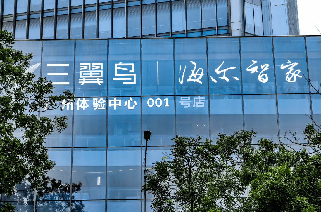 三翼鸟三周年<strong></p>
<p>三鸟币</strong>，从首个到首选