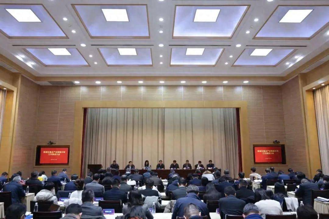杨浦区重点产业链链长制工作推进大会召开