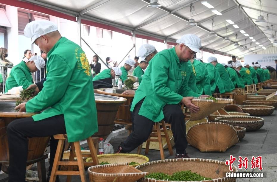 浙江杭州：西湖龙井茶炒茶王大赛举行