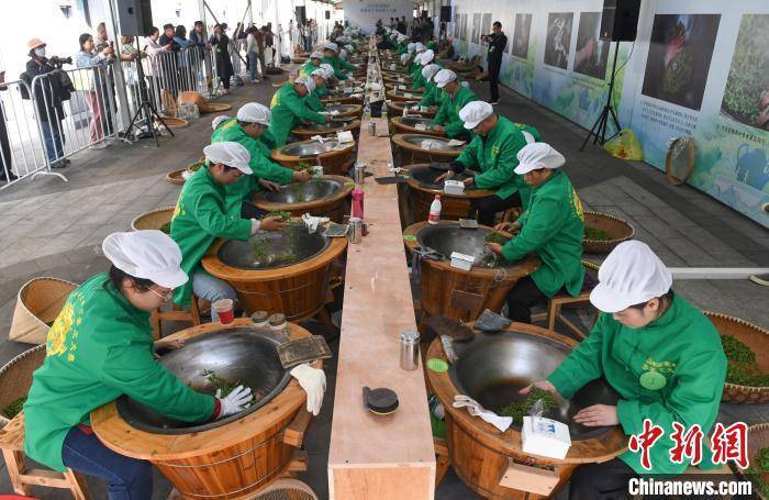 西湖龙井炒茶王大赛举行：展技艺传承魅力