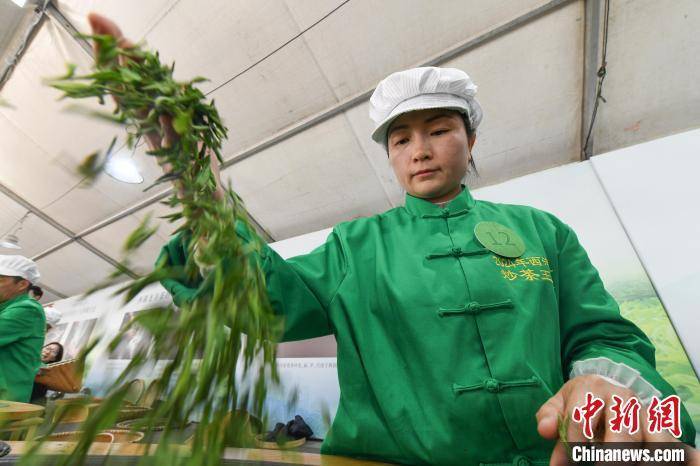 西湖龙井炒茶王大赛举行：展技艺传承魅力