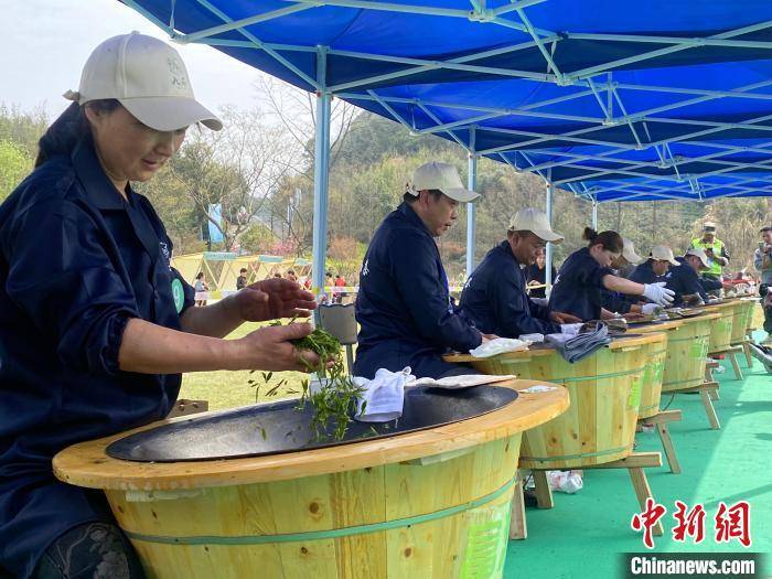 杭州办龙井茶炒制大赛 新老茶人展技艺传承魅力