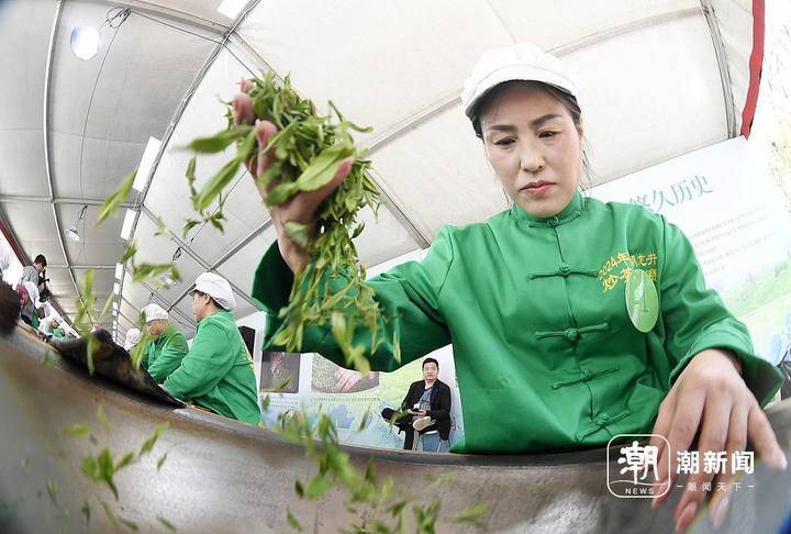 杭州西湖龙井茶炒茶王大赛开赛 年轻炒茶人逐年增加
