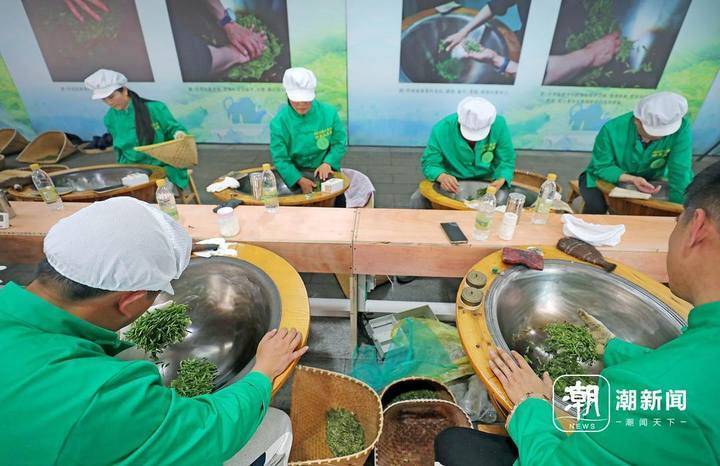 杭州西湖龙井茶炒茶王大赛开赛 年轻炒茶人逐年增加