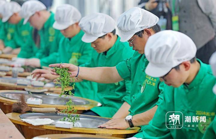 杭州西湖龙井茶炒茶王大赛开赛 年轻炒茶人逐年增加