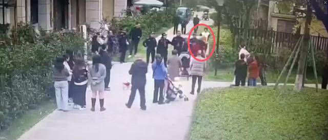 官方通报：执法人员张某（男<strong></p>
<p>币圈基本知识</strong>，35岁）被停职