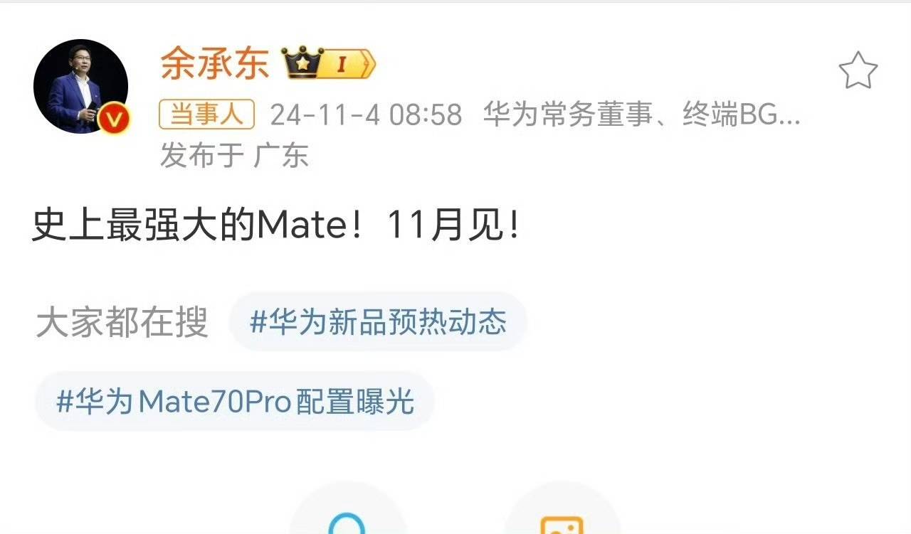 华为Mate 70官方图曝光？标注售价8599<strong></p>
<p>币圈市场</strong>，网友：这价格有点假了