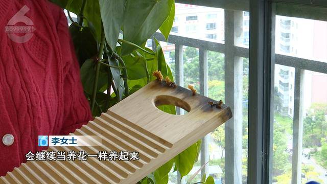 “可以蒸蛋”！昆明一女子家中搓衣板上长菌<strong></p>
<p>交易客户端</strong>，品种竟是……