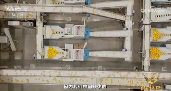 2024年末央视再度专访钟睒睒<strong></p>
<p>靠谱的币圈论坛</strong>，背后有何深意？