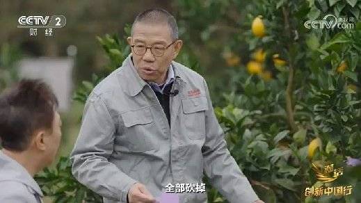 2024年末央视再度专访钟睒睒<strong></p>
<p>靠谱的币圈论坛</strong>，背后有何深意？