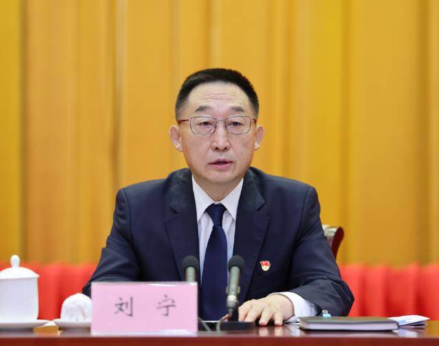 刘宁任河南省委书记<strong></p>
<p>代炒币</strong>，楼阳生因年龄原因不再担任