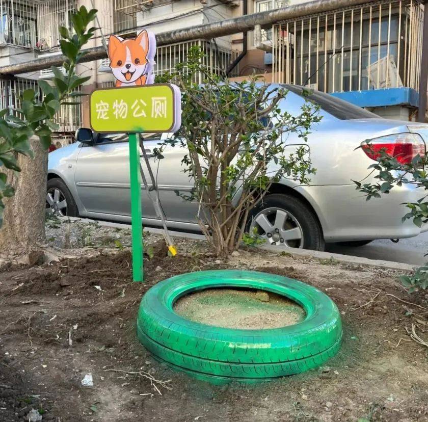家门口成“狗公厕”<strong></p>
<p>绝版币</strong>，女子喷驱狗剂却被犬主告上法庭