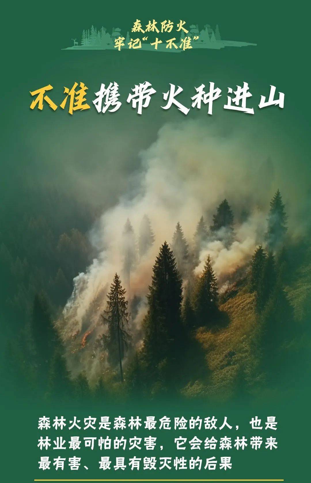 已致4名消防员遇难<strong></p>
<p>币橙测评</strong>！多地进入“灾难状态”