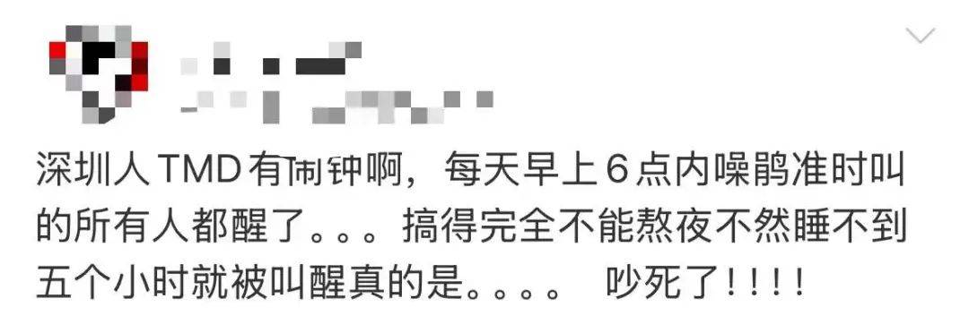 “周末想睡个懒觉都不行”<strong></p>
<p>三元福币</strong>，有多少深圳人被这种鸟吵到神经衰弱