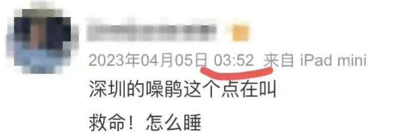 “周末想睡个懒觉都不行”<strong></p>
<p>三元福币</strong>，有多少深圳人被这种鸟吵到神经衰弱