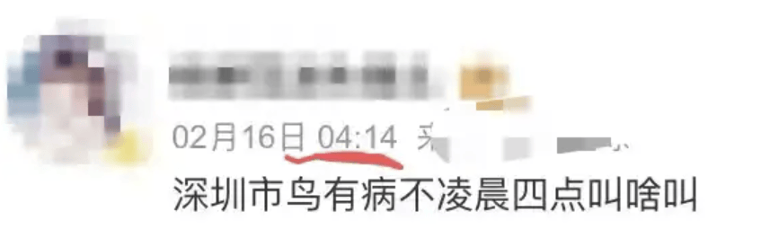“周末想睡个懒觉都不行”<strong></p>
<p>三元福币</strong>，有多少深圳人被这种鸟吵到神经衰弱