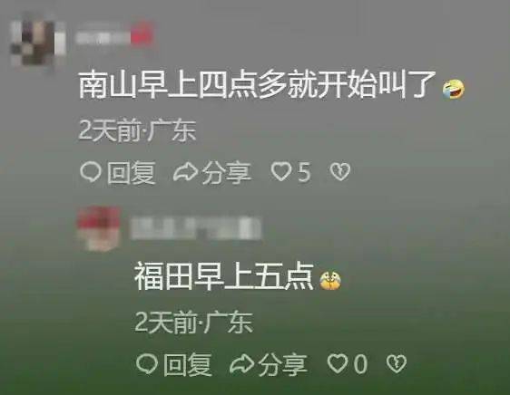 “周末想睡个懒觉都不行”<strong></p>
<p>三元福币</strong>，有多少深圳人被这种鸟吵到神经衰弱