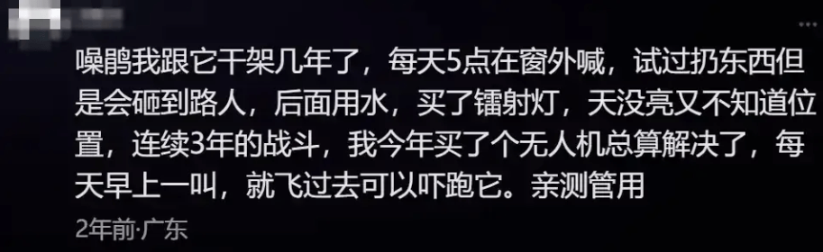 “周末想睡个懒觉都不行”<strong></p>
<p>三元福币</strong>，有多少深圳人被这种鸟吵到神经衰弱