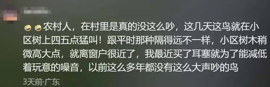 “周末想睡个懒觉都不行”<strong></p>
<p>三元福币</strong>，有多少深圳人被这种鸟吵到神经衰弱