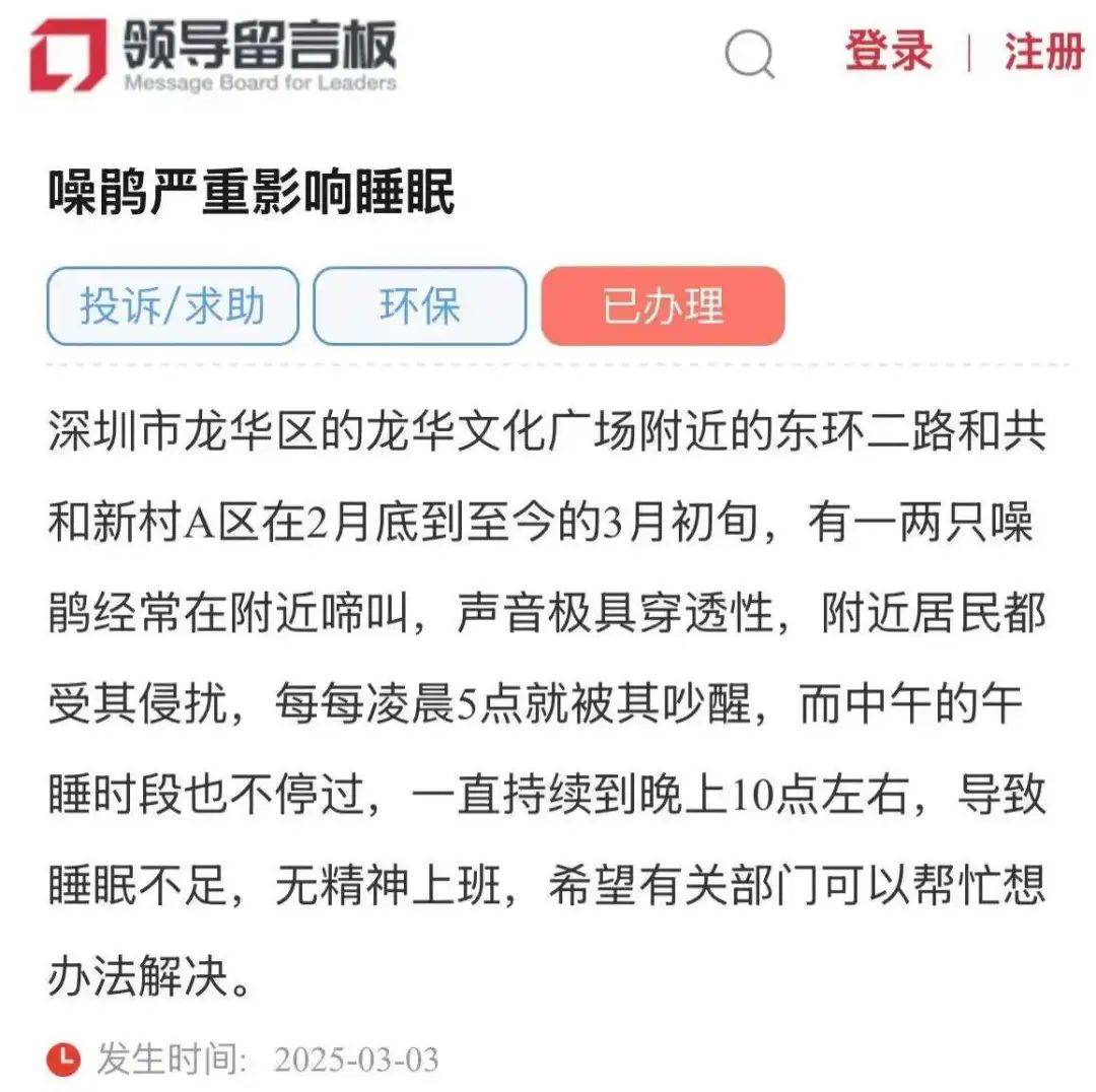 “周末想睡个懒觉都不行”<strong></p>
<p>三元福币</strong>，有多少深圳人被这种鸟吵到神经衰弱