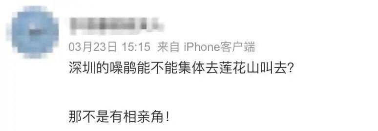 “周末想睡个懒觉都不行”<strong></p>
<p>三元福币</strong>，有多少深圳人被这种鸟吵到神经衰弱