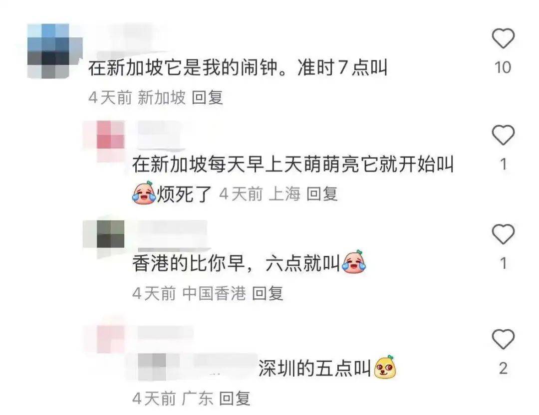 “周末想睡个懒觉都不行”<strong></p>
<p>三元福币</strong>，有多少深圳人被这种鸟吵到神经衰弱