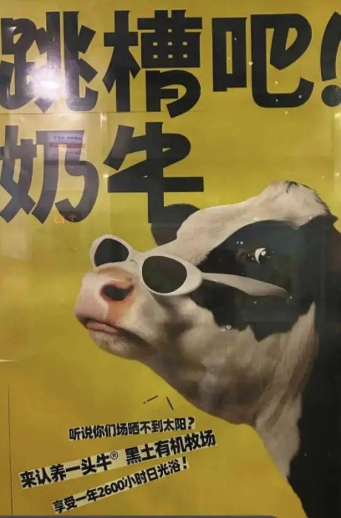 认养一头牛广告被质疑讽刺打工人<strong></p>
<p>坐以待币</strong>，公司回应：致敬BOSS直聘