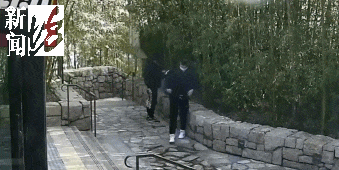 太猖狂！事发上海迪士尼<strong></p>
<p>币圈术语</strong>，7人被刑拘