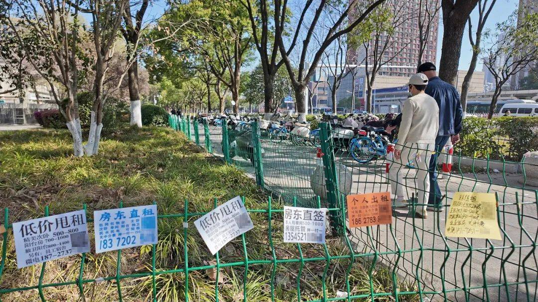 一二线城市房租普降<strong></p>
<p>币圈术语</strong>，房东主动降200留我