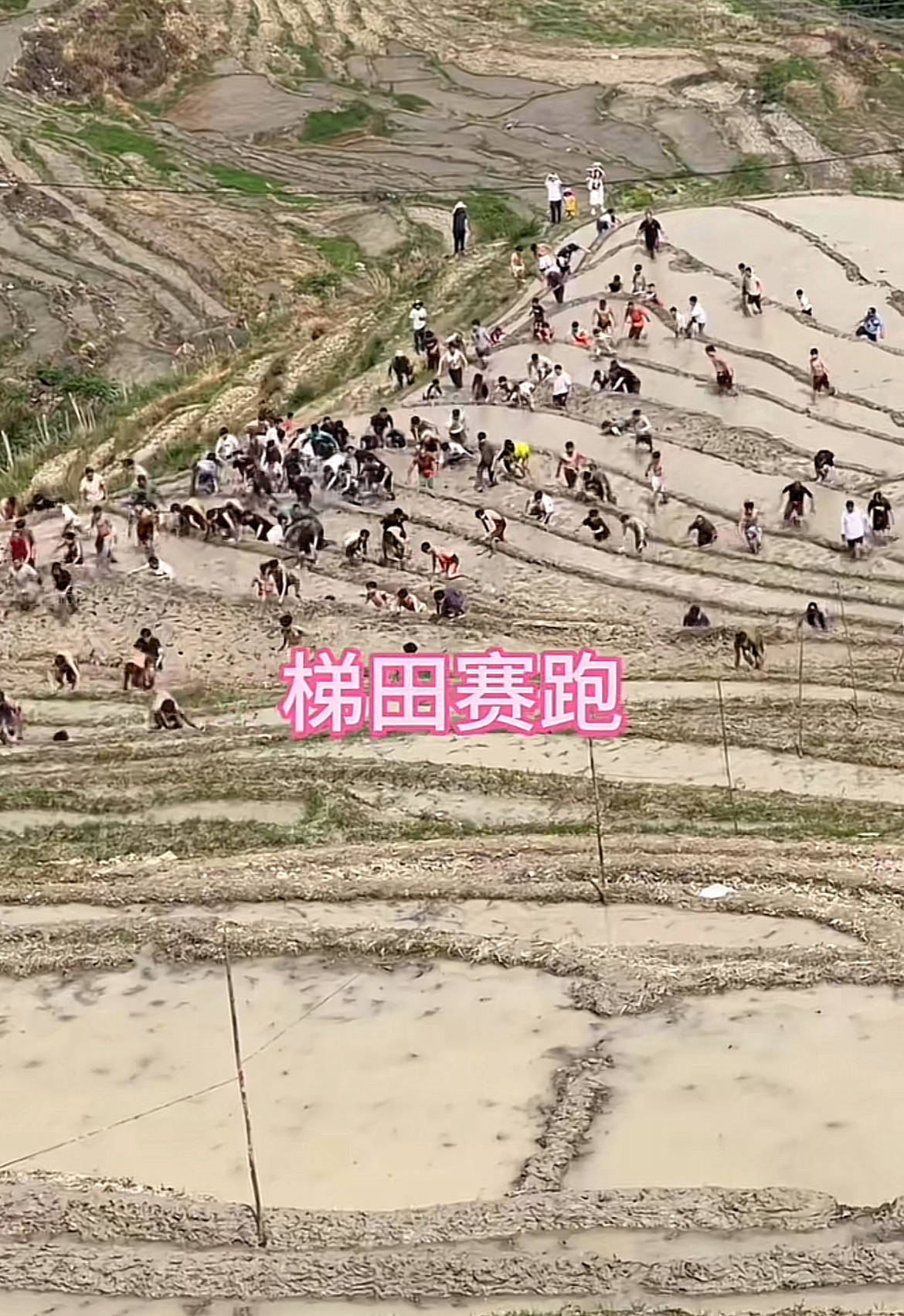 桂林一景区回应爬梯田比赛前两名半坡起跑作弊：游客赛前试爬后躺半坡<strong></p>
<p>币币交易技巧</strong>，工作人员没发现