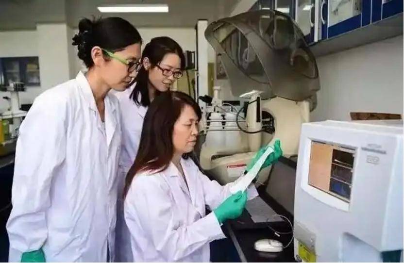 深挖 | “西北大学副校长范代娣成陕西首富”系乌龙<strong></p>
<p>币圈老猫</strong>，但她的人生如同开挂