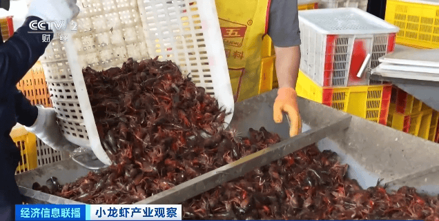 价格暴跌近50%<strong></p>
<p>币圈的玩法</strong>！“接下来还会降”！青岛正大量上市……